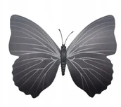 Magnesy - Magnes motyl 3D ozdobny na lodówkę M59 - czarny - miniaturka - grafika 1