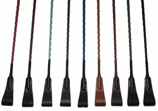 Przybylski Palcat- A2 - - Akcesoria jeździeckie Przybylski Palcat- A2 - - Akcesoria jeździeckie - miniaturka - grafika 1