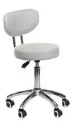 Krzesła i taborety kosmetyczne - Beauty System Taboret kosmetyczny BT-229 szary BT-229/GREY - miniaturka - grafika 1