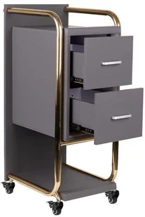 GABBIANO POMOCNIK FRYZJERSKI SOLO ZŁOTO SZARY 135396 - Meble fryzjerskie - miniaturka - grafika 3