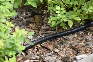 FLO WĄŻ KROPLUJĄCY PŁASKI 7,5M 89370 ZYSKAJ RABAT 30 ZŁ 89370 - Węże ogrodowe i zraszacze - miniaturka - grafika 6