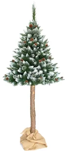 GardenPlus+ Okazja! Choinka na pniu z Dodatkami SosnaNaPniuZestaw - Choinki - miniaturka - grafika 2