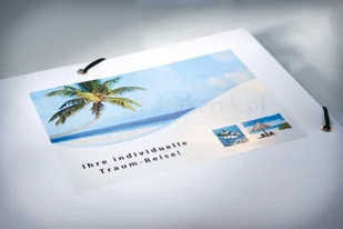 Avery Zweckform Etykiety błyszczące Zweckform 99,1 x 139mm 40 ark./op. L7769-40 - Etykiety samoprzylepne i bloki etykiet - miniaturka - grafika 4