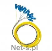 QOLTEC Pigtail światłowodowy 12x SC/UPC SM G657A2 2m 54364 - Kable miedziane - miniaturka - grafika 3