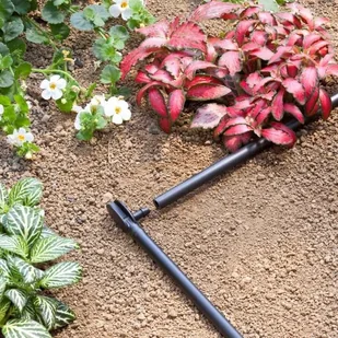 Rura zasilająca 1/4'' 20 m 903700000 - Inne akcesoria do nawadniania - miniaturka - grafika 2