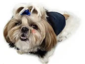 Ubranka dla psów - Ręcznie szyta kurtka exclusive granatowa - miniaturka - grafika 1