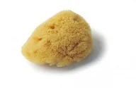Pozostałe akcesoria do kąpieli i SPA - Croll & Denecke crollius + denecke naturalny gąbką levantiner L050 - miniaturka - grafika 1