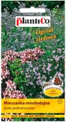 Nasiona i cebule - Plantico Mieszanka miododajna jednoroczna - miniaturka - grafika 1