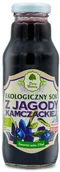 Soki i herbatki dla dzieci - Dary Natury SOK Z JAGODY KAMCZACKIEJ BIO 270 ml - - miniaturka - grafika 1