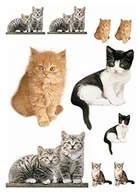 Naklejki na ścianę - Komar Deco naklejki "Kitty", 1 sztuki, kolorowy, 17010h - miniaturka - grafika 1