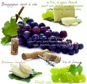 Folia, papier śniadaniowy, serwetki - Nuova R2S R2S Serwetki stołowe R2S 20 szt 414 VNO - miniaturka - grafika 1