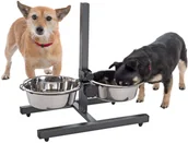 Miski dla psów - zooplus Exclusive Stojak z dwiema miskami stalowymi dla psa 2 x 4,2 l 28 cm wysokość do 60 cm - miniaturka - grafika 1