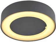 Lampy ogrodowe - Globo Lighting Lampa sufitowa zewnętrzna LED 12W SURA 32136D Globo 32136D - miniaturka - grafika 1