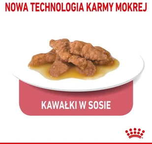 Royal Canin Indoor 400g 288060 - Mokra karma dla kotów - miniaturka - grafika 11