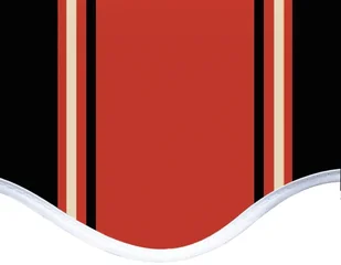 VidaXL Lumarko Zapasowa tkanina na markizę, pomarańczowo-brązowa, 5x3,5 m 311962 VidaXL - Markizy VidaXL Lumarko Zapasowa tkanina na markizę, pomarańczowo-brązowa, 5x3,5 m 311962 VidaXL - Markizy - miniaturka - grafika 5