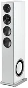 Głośniki i kolumny - Definitive Technology DEMAND 15 L biały - miniaturka - grafika 1