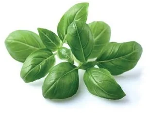 Click&Grow Kapsułki z nasionami Smart Soil 3 szt. bazylia 4742793007199 - Nasiona i cebule - miniaturka - grafika 3