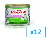 Mokra karma dla psów - Royal Canin Starter Mousse Mother & Babydog 12 x 195 g karma mokra mus dla suk w czasie ciąży laktacji oraz szczeniąt - miniaturka - grafika 1