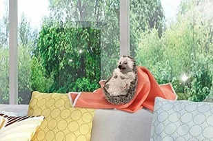 Spontex Ścierka Do Okien Window Microfibre Pomarańczowa 00145 000939 - Ściereczki, gąbki, czyściki - miniaturka - grafika 3