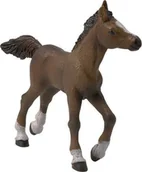 Figurki dla dzieci - Papo Figurka źrebak ANGLO-ARABSKI - 51530 - miniaturka - grafika 1