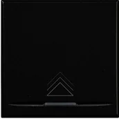 Akcesoria car audio - Legrand bticino hs4915/2AD  Axolute  copri tasto ściemniacz 2 Mod SCURO HS4915/2AD - miniaturka - grafika 1