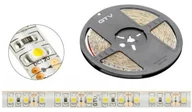 Lampy pozostałe - GTV TAŚMA FLASH 3528. 600 LED ZIMNY BIAŁY. 48W WODOODPORNA 8mm. ROLKA 5m LD-3528-600-65-ZB - miniaturka - grafika 1