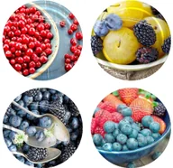 Pojemniki kuchenne - Browin Zakrętka fi 82/6 ,10 szt. owoce 2 BROWIN - miniaturka - grafika 1