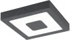 Eglo IPHIAS 96489 plafon sufitowy 1x16,5W LED - Lampy ogrodowe - miniaturka - grafika 2