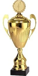 VS VS, Puchar złoty z przykrywką, 7098/BP, metalowy - Gadżety dla kibiców - miniaturka - grafika 2