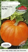 Nasiona i cebule - Torseed Nasiona Dynia olbrzymia Big Max 3g Torseed2636 - miniaturka - grafika 1