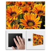 Plakaty - Pix4home Plakat metalowy słoneczniki M POS-M-01269 - miniaturka - grafika 1