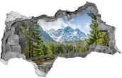Naklejki na ścianę - Wallmuralia.pl Dziura 3d w ścianie naklejka Droga Tatry - miniaturka - grafika 1