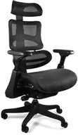 Fotele i krzesła biurowe - Unique Meble Krzesło ergonomiczne biurowe z podnóżkiem ERGOTHRONE czarna siatka - miniaturka - grafika 1