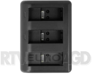 Newell Ładowarka trójkanałowa SDC-USB do akumulatorów AABAT-001 14390 - Ładowarki do aparatów dedykowane - miniaturka - grafika 2