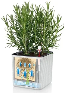 Lechuza Donica stołowa CUBE Color 16 ALL-IN-ONE, biała - Donice - miniaturka - grafika 3