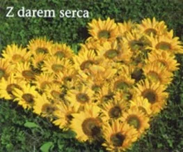 Edycja Świętego Pawła praca zbiorowa Perełka 144. Z darem serca - Aforyzmy i sentencje - miniaturka - grafika 2