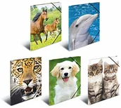 Teczki i skoroszyty - Herma 7148 teczka na dokumenty DIN A3, zestaw 10 szt., ze stabilnego tworzywa sztucznego z zadrukowanymi klapkami wewnętrznymi, gumowa teczka, teczka z napinaczem narożnym, 10 teczek dla dzieci 7148 - miniaturka - grafika 1