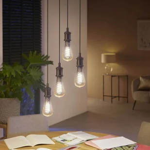 Philips Hue Philips Hue White ambiance Żarówka Filament ST72 E27 - Systemy inteligentnych domów - miniaturka - grafika 5