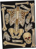 Halloween - Guirca Dekoracja na okno Szkielet na Halloween - 30 x 40 cm - 1 szt. GU26623 - miniaturka - grafika 1