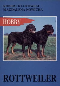 Rottweiler - Robert Klukowski - Rośliny i zwierzęta - miniaturka - grafika 2