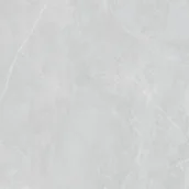 Płytki ceramiczne - Saloni Ceramica Mythos Gris Mat 60x60 Saloni_ENT735 - miniaturka - grafika 1