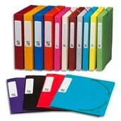 Segregatory - Exacompta Archivbox z gumką i 3 klapy 5 cm oparcie z błyszczącego kartonu 5/10E -częściowy zestaw kolorów posortowanych 19500H - miniaturka - grafika 1