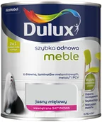 Farby olejne i specjalne - Dulux Szybka Odnowa Meble jasny miętowy 750 ml - miniaturka - grafika 1