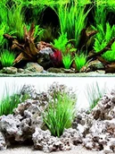 Dekoracje do akwarium - Wave a8011570 Foto Wonder tylne, dwustronne w blister, 45 x 100 cm - miniaturka - grafika 1