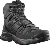 Buty trekkingowe męskie - Salomon Quest 4 GTX Shoes Men, magnet/black/quarry UK 8 | EU 42 2021 Trapery turystyczne L41292600-8 - miniaturka - grafika 1