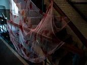 Halloween - FOL Zakrwawiona szmatka na Halloween - 250x200 cm F23788 - miniaturka - grafika 1