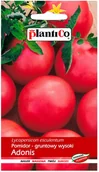Nasiona i cebule - Plantico Pomidor Adonis - miniaturka - grafika 1