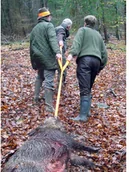 Survival - akcesoria - Eurohunt Orczyk do ciągnięcia tuszy z potrójnym uchwytem EH-540022 - miniaturka - grafika 1