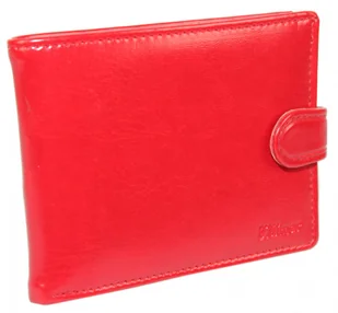 Wilmar (PL) Etui Na Dokumenty (PL) Poziome Z Zapięciem Z Miejscem Na Gotówkę RFID 9,5 x 12 x 1,5 [cm] - Etui na dokumenty i karty - miniaturka - grafika 2