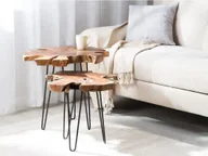 Ławy i stoliki kawowe - Beliani Zestaw 2 stolików pomocniczych ciemne drewno z czarnym CAMROSE - miniaturka - grafika 1